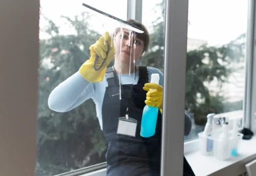 Nettoyage de vitres intérieures et extérieures à Vollore-Ville